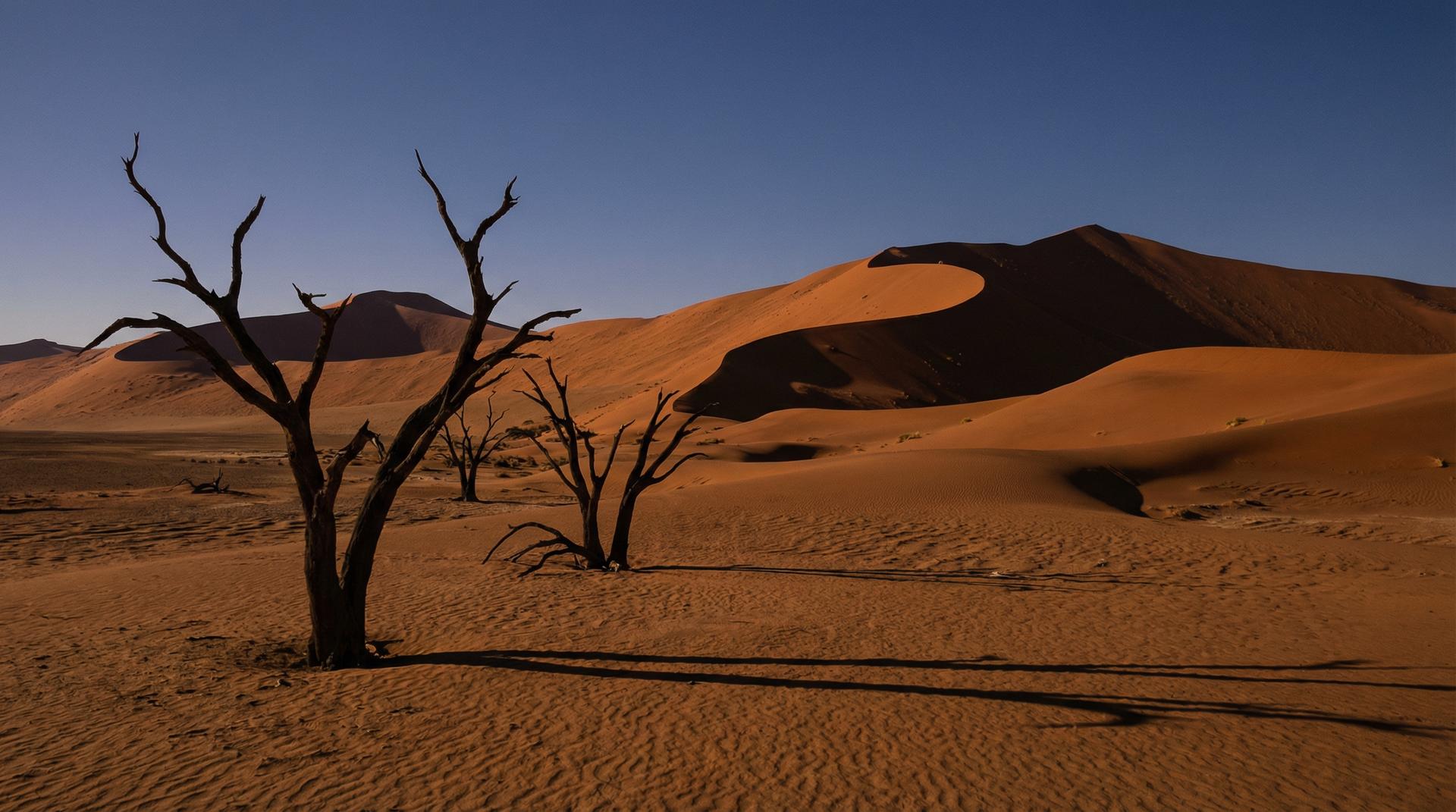 茄子视频纳米比亚沙漠视频